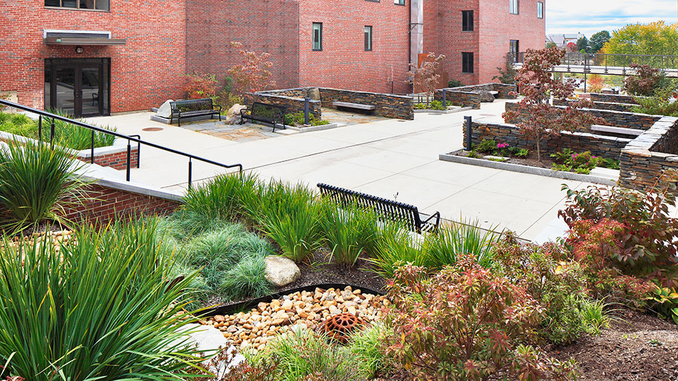 Morrill Science Center green infrastructure installment showing plants and other green infrastructure elements