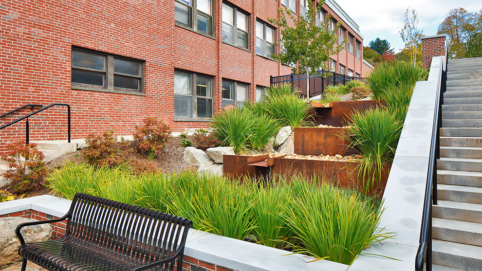 Morrill Science Center green infrastructure installment showing plants and other green infrastructure elements